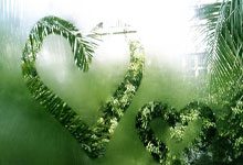 世界杯2026-2026世界杯历史重演关键战，巴西横扫哥斯达黎加，苏亚雷斯带队取胜